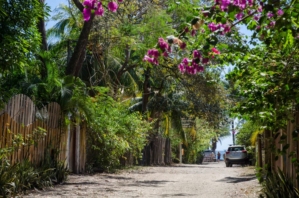 A dirt road leading to the beach in Samara, Costa Rica.
