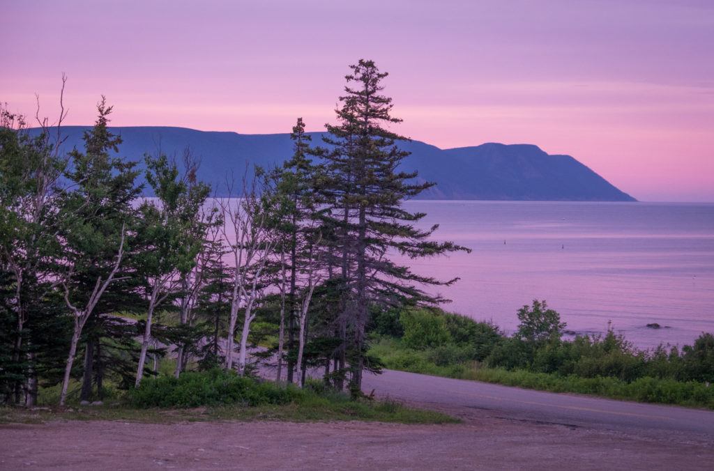 A bright pink and purple sunset over purple mountains. Evergreen trees in the foreground.
