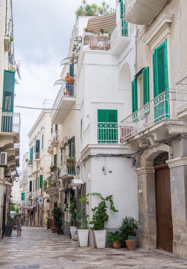 A street with gray stone streets, white walls and green shutters and plants in Monopoli