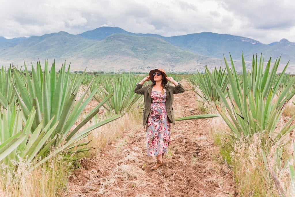A woman wearing a flowered dress, sunglasses, and wide-brimmed hat posing in the middle of pointy green agave plants, mountains in the background.